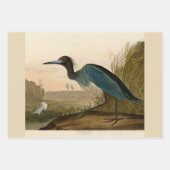 Feuille De Papier Cadeau Impression d'oiseau Grackle violet d'Audubon Botan (Devant 3)