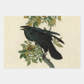 Feuille De Papier Cadeau Impression d'oiseau Grackle violet d'Audubon Botan (Devant 2)