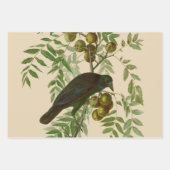 Feuille De Papier Cadeau Impression d'oiseau Grackle violet d'Audubon Botan (Devant)