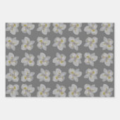 Feuille De Papier Cadeau Isolé iris blanc motif fleur motif sans soudure (Devant)