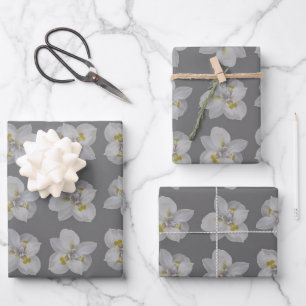 Feuille De Papier Cadeau Isolé iris blanc motif fleur motif sans soudure
