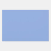 Feuille De Papier Cadeau Jardin de Magnolia en bleu (Devant 3)