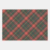 Feuille De Papier Cadeau Jardin de Noël rouge et vert (Devant 3)