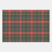 Feuille De Papier Cadeau Jardin de Noël rouge et vert (Devant)