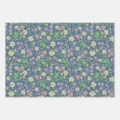 Feuille De Papier Cadeau Jardin de printemps Jour des mères Daffodils Crocu (Devant 2)