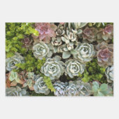 Feuille De Papier Cadeau Jardin Succulent 1 (Devant 3)