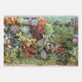 Feuille De Papier Cadeau Jardin Succulent 2 (Devant 2)