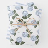 Feuille De Papier Cadeau Jeu de fleurs d'Hydrangée bleue (En situation)