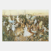 Feuille De Papier Cadeau John Fitzgerald Imaginaire Fine Art Fairy (Devant 3)