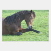 Feuille De Papier Cadeau Joli Cheval Brown allongé dans l'herbe (Devant)