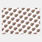 Feuille De Papier Cadeau Joli Kiwi de Noël, coutume (Devant 3)