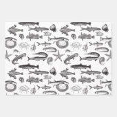 Feuille De Papier Cadeau Joli Rainbow Fish & Sea Creatwings Dessins (Devant)