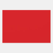 Feuille De Papier Cadeau Jolie ELF REGARDER Noël Coordonné (Devant 3)