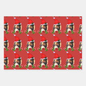Feuille De Papier Cadeau Jolie Sheltie Père Noël Noël (Devant)