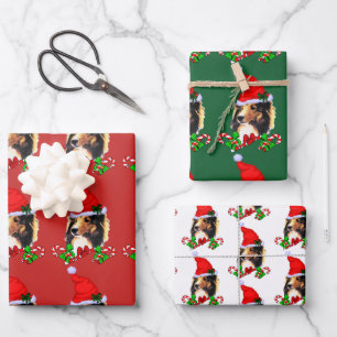 Feuille De Papier Cadeau Jolie Sheltie Père Noël Noël
