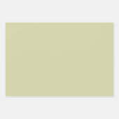 Feuille De Papier Cadeau Jour éffrayant Halloween Witch Squelette (Devant 2)