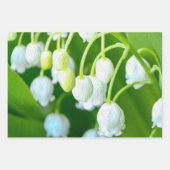 Feuille De Papier Cadeau Joyeux Lily du motif de la vallée (Devant)