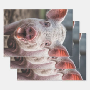 Feuille De Papier Cadeau Joyeux Poke de langue de porc blanc,