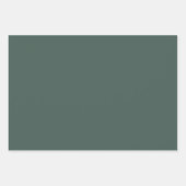 Feuille De Papier Cadeau Just A Jolly Goose Patchwork Christmas Duck Funny (Devant 3)