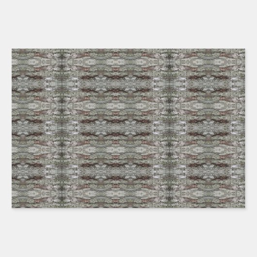 Feuille De Papier Cadeau Kingdom Tree Bark Patterned (Devant)