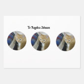 Feuille De Papier Cadeau Kitten Photo Text Name,  Replace,  (Devant 3)