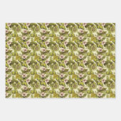 Feuille De Papier Cadeau Kiwi Berry (Devant)