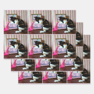 Feuille De Papier Cadeau La garde-robe de Leilani - toutes les occasions