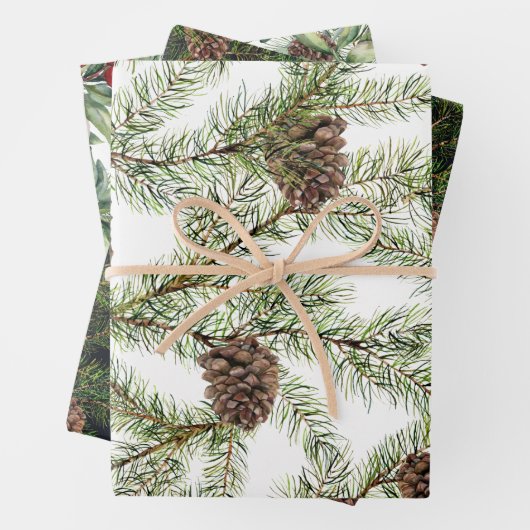 Feuille De Papier Cadeau La verdure. pin, cône, sapin (En situation)