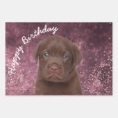 Feuille De Papier Cadeau Labrador chocolat (Devant 2)