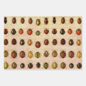 Feuille De Papier Cadeau Ladybug Ladybird Beetle Insect Bug (Devant 3)