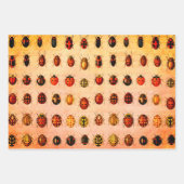 Feuille De Papier Cadeau Ladybug Ladybird Beetle Insect Bug (Devant 2)