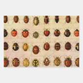 Feuille De Papier Cadeau Ladybug Ladybird Beetle Insect Bug (Devant)
