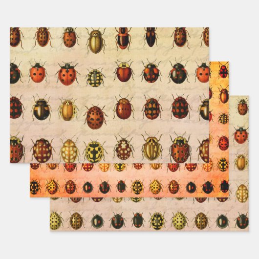 Feuille De Papier Cadeau Ladybug Ladybird Beetle Insect Bug (Lot)