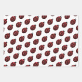Feuille De Papier Cadeau Ladybug parties scintillant scintille motif rouge  (Devant)