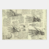 Feuille De Papier Cadeau L'anatomie de la main humaine de Léonard de Vinci (Devant 2)