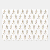 Feuille De Papier Cadeau Lapin différent (Devant 3)