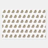 Feuille De Papier Cadeau Lapin différent (Devant 2)