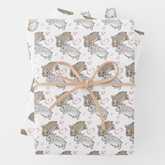 Feuille De Papier Cadeau Lapin différent (En situation)