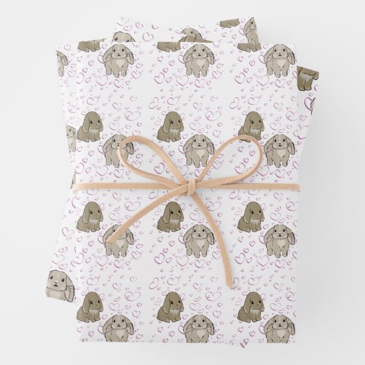 Feuille De Papier Cadeau Lapins Holland lop (En situation)