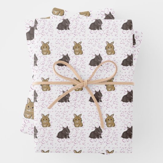 Feuille De Papier Cadeau Lapins Lionhead (En situation)