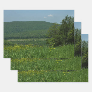 Feuille De Papier Cadeau Laurel Highlands Pennsylvania Summer Photography