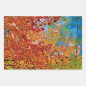 Feuille De Papier Cadeau L'automne laisse le ciel bleu orangé d'automne col (Devant 2)