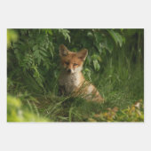 Feuille De Papier Cadeau Le chou renard dans une forêt verte (Devant 3)