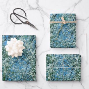 Feuille De Papier Cadeau Le prunier sauvage en fleurs