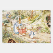 Feuille De Papier Cadeau Le quartier de Peter Rabbit par Beatrix Potter (Devant)