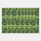 Feuille De Papier Cadeau Légumes feuillus verts (Devant 2)