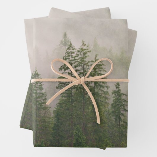 Feuille De Papier Cadeau Les arbres de la forêt de Foggy (En situation)