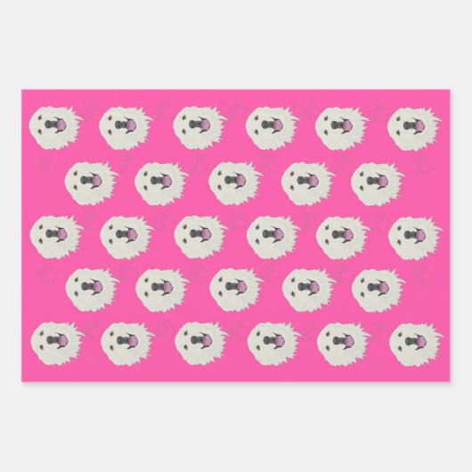 Feuille De Papier Cadeau Les Pyrénées (Devant 2)