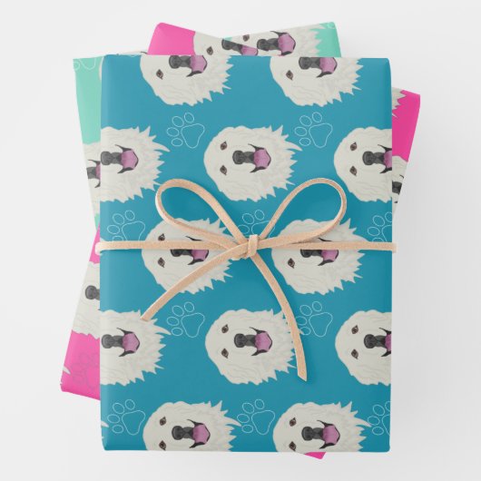 Feuille De Papier Cadeau Les Pyrénées  (En situation)