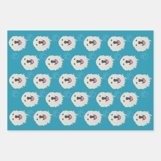 Feuille De Papier Cadeau Les Pyrénées (Devant)